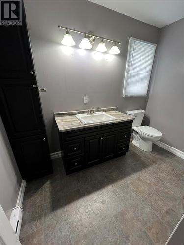 39 Smallwood Drive, Grand Falls-Windsor, NL - Indoor Photo Showing Bathroom