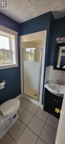 20 Farewells Road, Marystown, NL - Indoor Photo Showing Bathroom