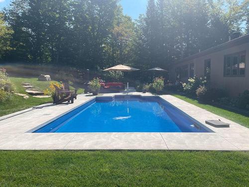 Piscine - 15 Av. D'Amiens, Estérel, QC - Outdoor With In Ground Pool With Backyard