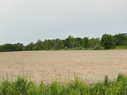 Terre/Terrain - Côte St-Charles, Papineauville, QC 