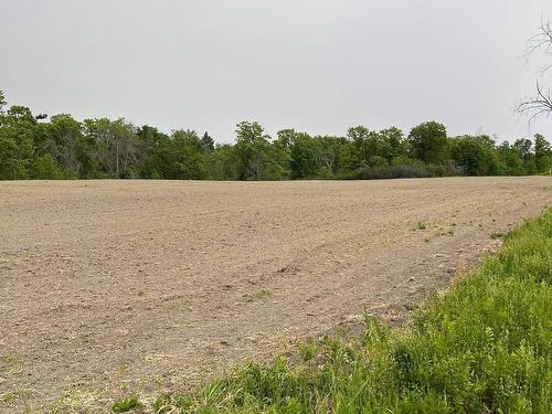 Land/Lot - Côte St-Charles, Papineauville, QC 