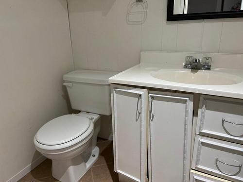 Powder room - 24 Rue Champoux, Notre-Dame-Du-Nord, QC - Indoor Photo Showing Bathroom