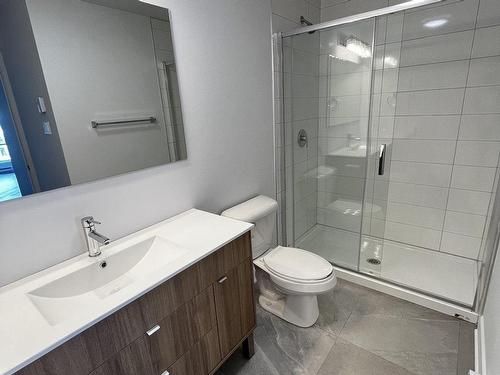 Ensuite bathroom - 518-250 Boul. Hymus, Pointe-Claire, QC - Indoor Photo Showing Bathroom
