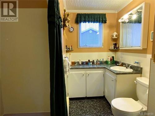 44 Rue Grondin, Saint-Jacques, NB - Indoor Photo Showing Bathroom