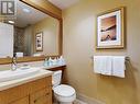 15 Park Place Unit# 327, Osoyoos, BC  - Indoor Photo Showing Bathroom 