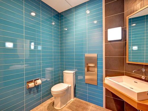 Salle d'eau - 203-256 Rue De Montigny, Saint-Jérôme, QC - Indoor Photo Showing Bathroom