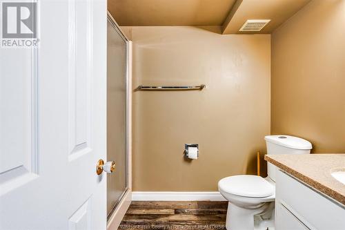 1011 Mccain Sideroad, Kingsville, ON - Indoor Photo Showing Bathroom