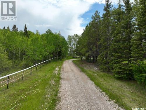 4.55 Acres North, Hudson Bay Rm No. 394, SK - Outdoor With View