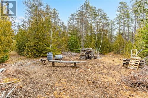 5202 Highway 6, Northern Bruce Peninsula, ON - Outdoor