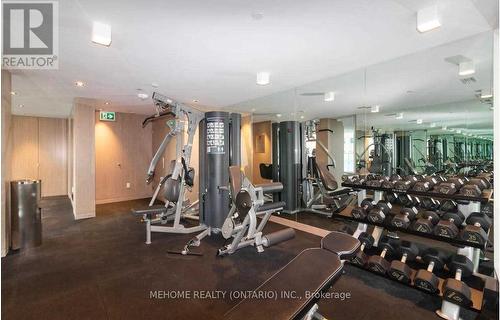 #905 -215 Queen St, Toronto, ON - Indoor Photo Showing Gym Room