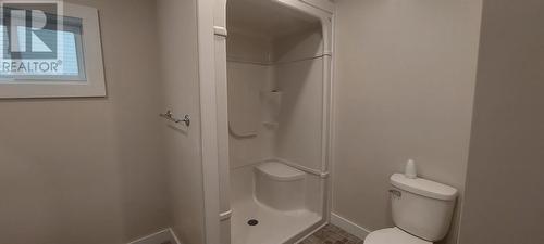 114 Riverside East Drive, Glovertown, NL - Indoor Photo Showing Bathroom