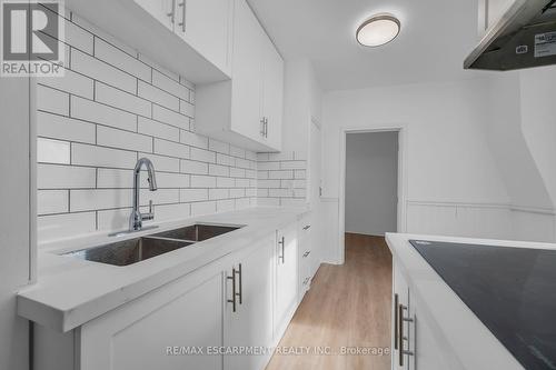 252 Vine St, St. Catharines, ON - Indoor Photo Showing Kitchen With Double Sink