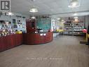 460 Hopkins St, Whitby, ON 