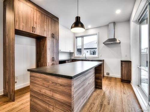 Kitchen - 1Z Rue Aryane, Saint-Bernard-De-Lacolle, QC - Indoor Photo Showing Kitchen