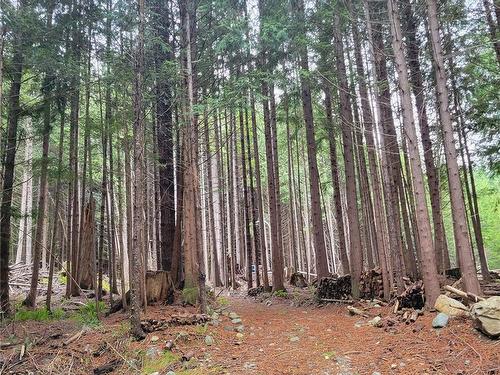 Lot 5 Discovery Passage (Off) Rd, Campbell River, BC 