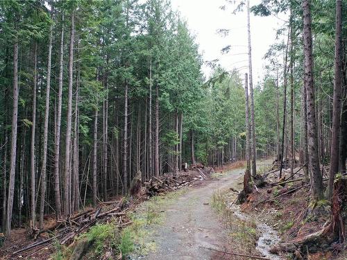 Lot 5 Discovery Passage (Off) Rd, Campbell River, BC 