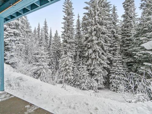 1-137 Whitetail Road, Apex Mountain, BC - Outdoor