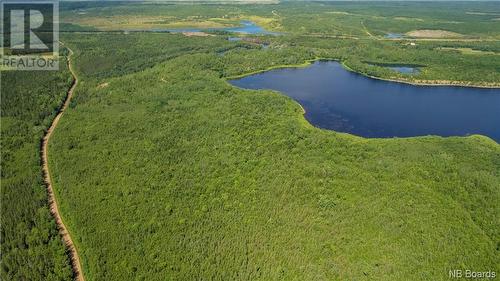 - Lafitte Road, Newcastle Centre, NB 