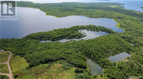 - Lafitte Road, Newcastle Centre, NB 