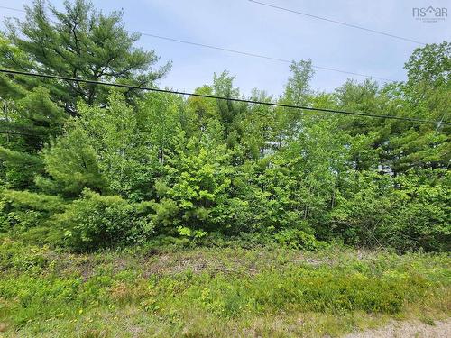 Lot 15 Charlton Road, West Springhill, NS 