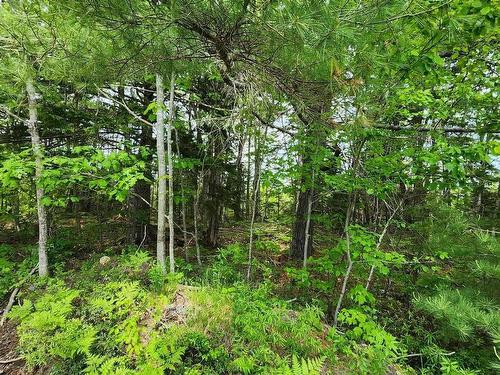 Lot 15 Charlton Road, West Springhill, NS 