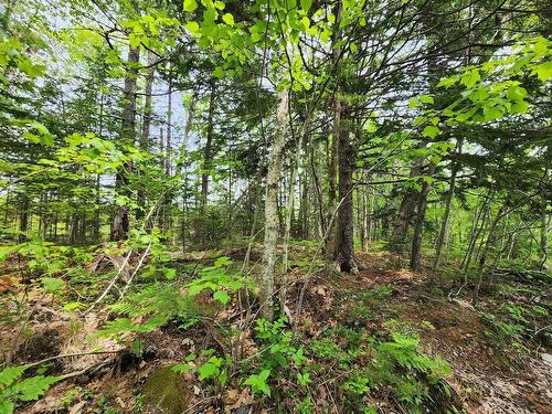 Lot 15 Charlton Road, West Springhill, NS 