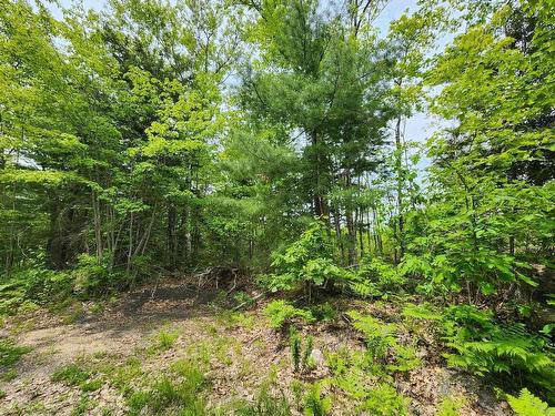 Lot 15 Charlton Road, West Springhill, NS 