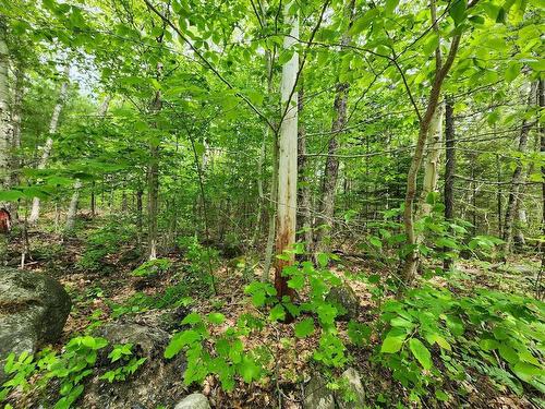 Lot 15 Charlton Road, West Springhill, NS 