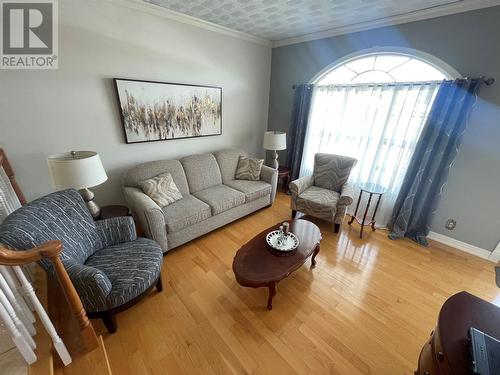 12 Adams Avenue, Bishop'S Falls, NL - Indoor Photo Showing Living Room
