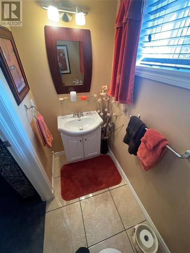 12 Adams Avenue, Bishop'S Falls, NL - Indoor Photo Showing Bathroom