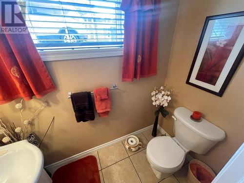 12 Adams Avenue, Bishop'S Falls, NL - Indoor Photo Showing Bathroom