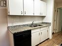 203 1902 Pearson Avenue, North Battleford, SK  - Indoor Photo Showing Kitchen With Double Sink 
