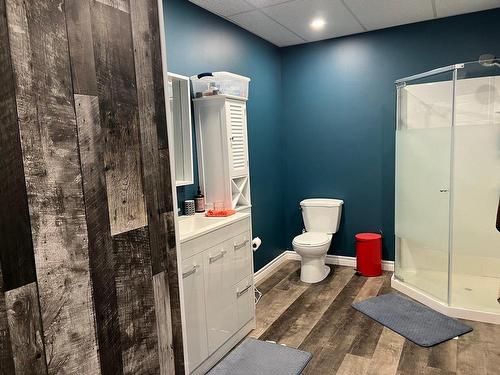 Loft - 27 Ch. Ontario, Notre-Dame-Du-Nord, QC - Indoor Photo Showing Bathroom