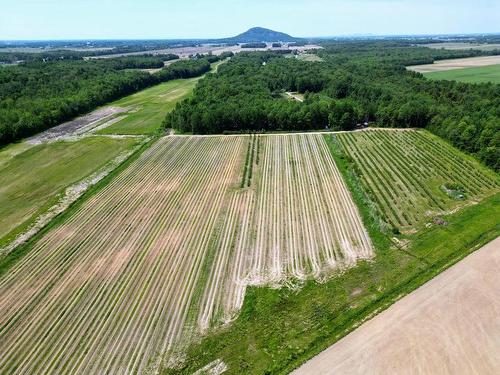 Overall view - 121 Rg De Versailles, Mont-Saint-Grégoire, QC 