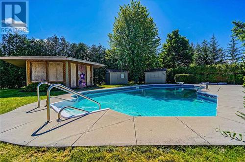 99 Hurd St, Oshawa, ON - Outdoor With In Ground Pool With Backyard