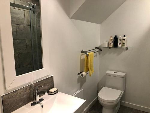 Salle d'eau - 182 Ch. Du Tour-Du-Lac, Lac-Supérieur, QC - Indoor Photo Showing Bathroom