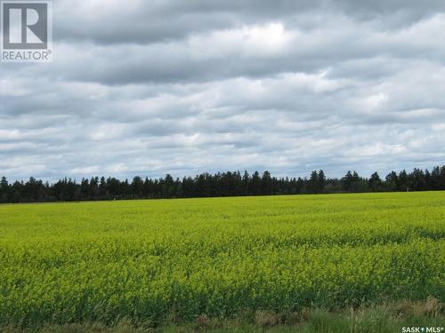 Lot 13 Country Residential 3.53 Acres, Nipawin Rm No. 487, SK 