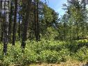 Prime Acreage Lot 3 Block U, Nipawin Rm No. 487, SK 