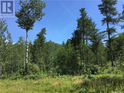 Prime Acreage Lot 3 Block U, Nipawin Rm No. 487, SK 