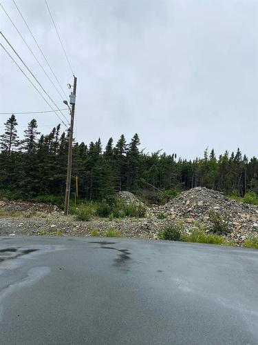 50 Micnoel Place, Pouch Cove, NL 