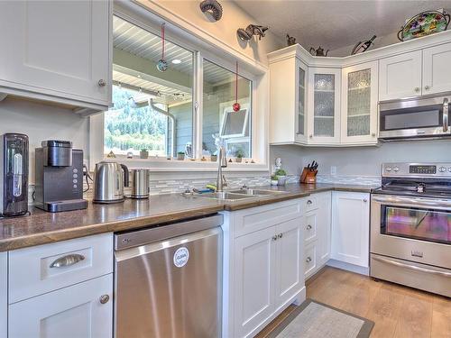 446 Mountain View Dr, Lake Cowichan, BC - Indoor Photo Showing Kitchen With Double Sink