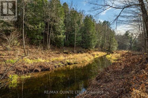 0 Highway 41, Addington Highlands, ON 