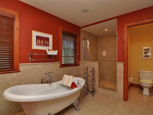 Salle de bains - 255 Ch. Des Cerfs, Mont-Tremblant, QC - Indoor Photo Showing Bathroom