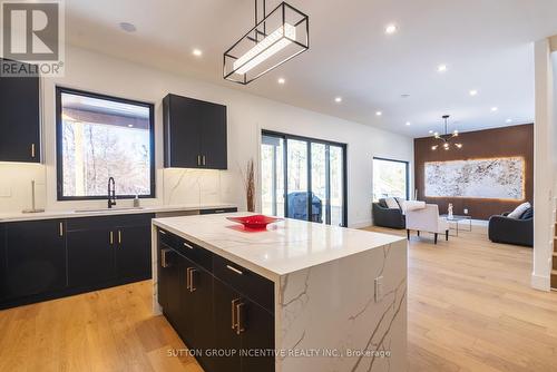 1772 Wingrove Ave, Innisfil, ON - Indoor Photo Showing Kitchen With Upgraded Kitchen