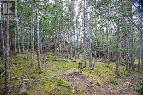 4 Penney Lane, Bristols Hope, NL - Outdoor With View