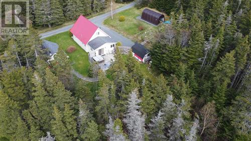 4 Penney Lane, Bristols Hope, NL - Outdoor With View