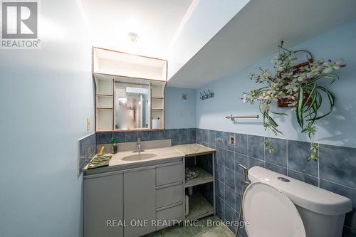 263 Broadview Avenue, Toronto, ON - Indoor Photo Showing Bathroom