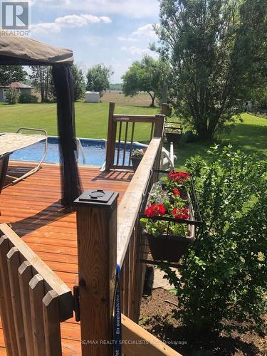 8136 Hornby Road, Halton Hills, ON - Outdoor With Above Ground Pool