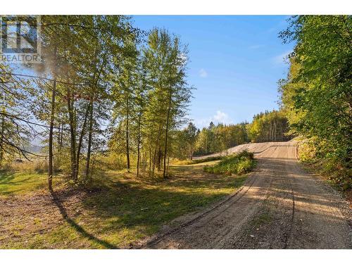 3463 Kernaghan Road, Salmon Arm, BC 