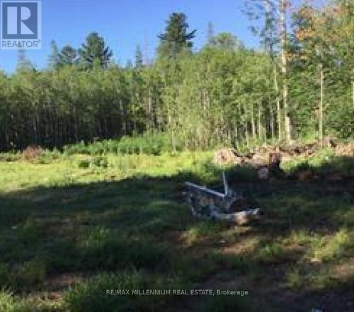 1311 Nelson Lake Rd, Magnetawan, ON - Outdoor With View